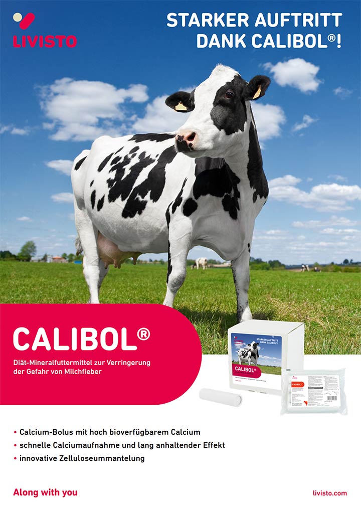 calibol_salesfolder_2024